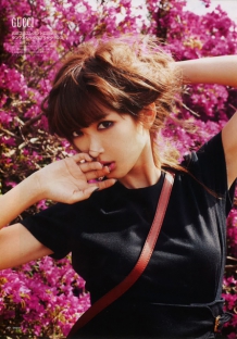 免费ddos平台攻击